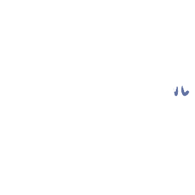 ル
